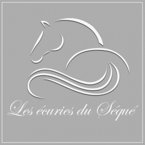  Les Ecuries du SEQUE  Сен-Мартен-Де-Сеньан